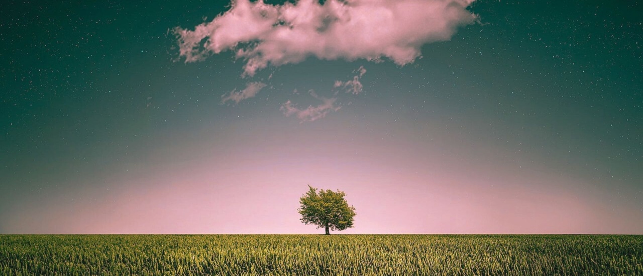 Forse soffro di Disbiosi Intestinale... o forse no...