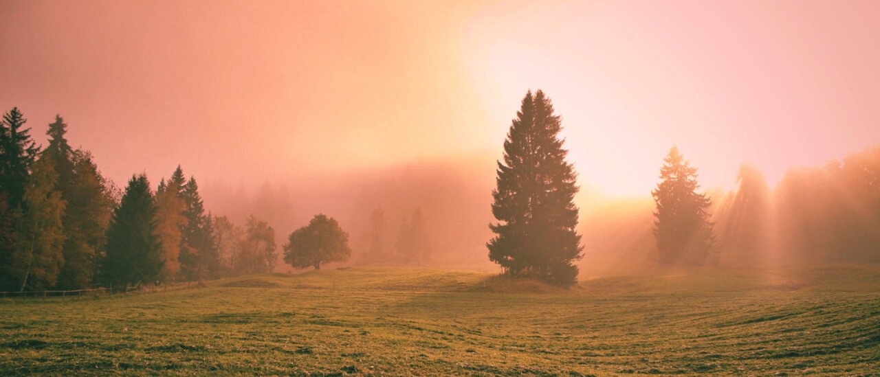 Forse soffro di Disbiosi Intestinale... o forse no...