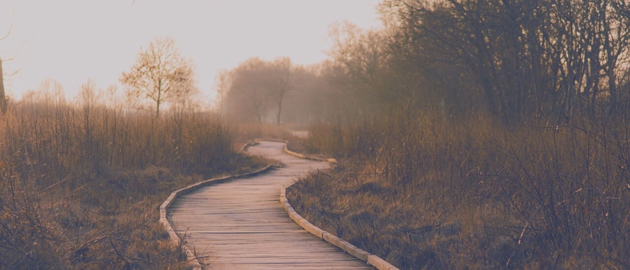 Forse soffro di Disbiosi Intestinale... o forse no...