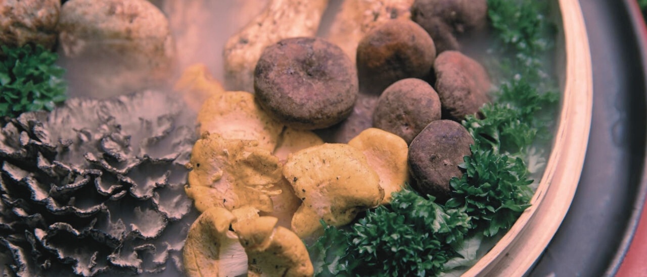 Che cosa fare prima di assumere Funghi Medicinali?