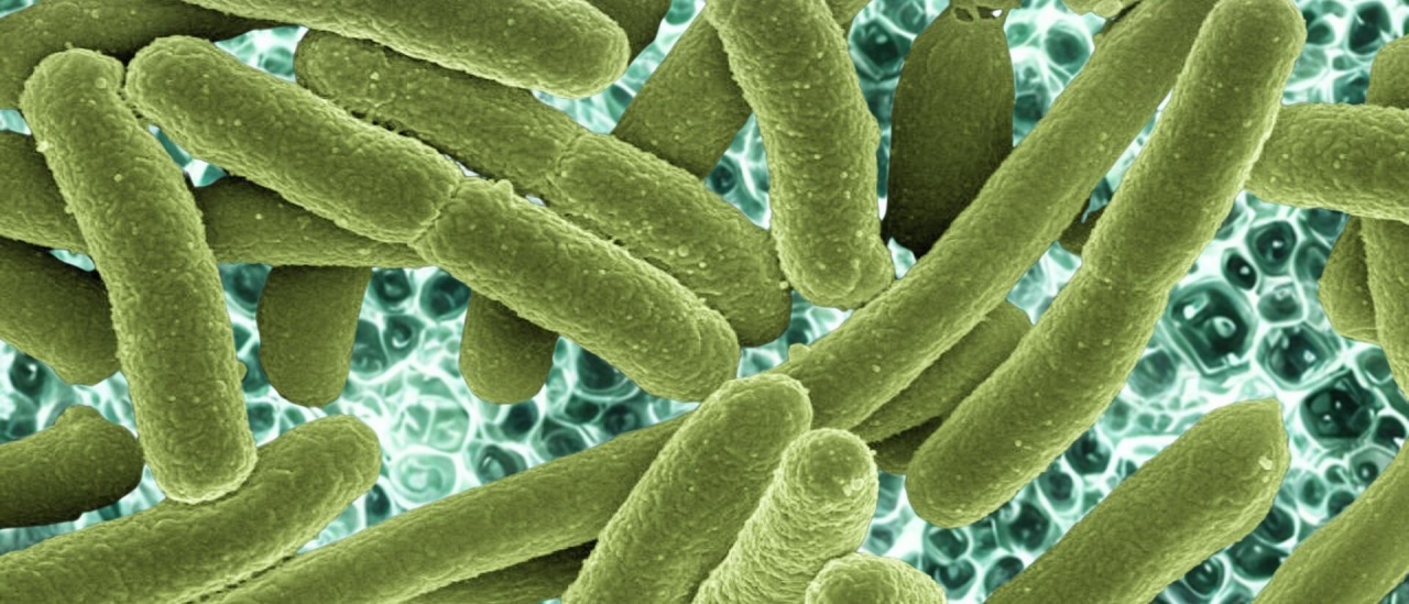 Sistema Nervoso Autonomo, Adattamento e Botanica: Perch&eacute; il Metodo Innesti Va Oltre il Sintomo