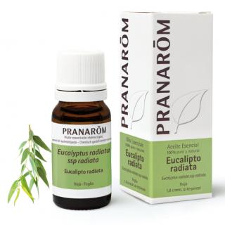 Pranarom Olio Essenziale di Eucalipto Radiata 10ml Antisettico Mucolitico