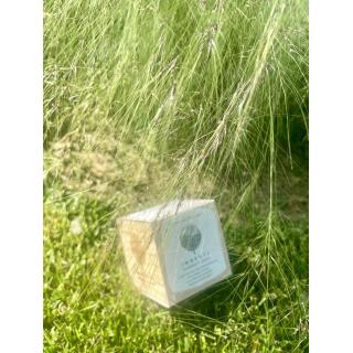 INNESTI ORIGINAL iGreen Cube Vasetto Fiori in Legno con Semi
