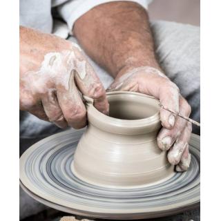 Che cos'&egrave; la malattia? La metafora del vaso di Bertalanffy