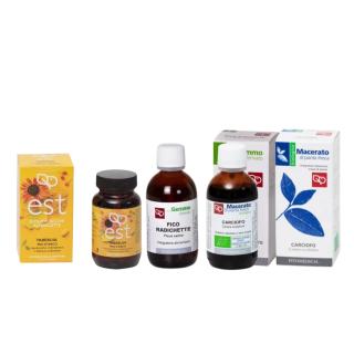 Kit Stipsi: Fico Carciofo Tabebuia