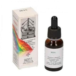 Alkaest MTS18 Shitake in Gocce 20ml