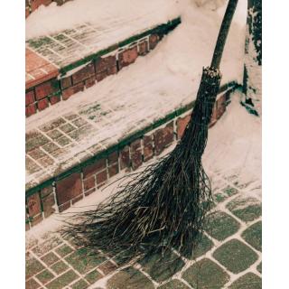 L'Albero della Befana: l'Alloro